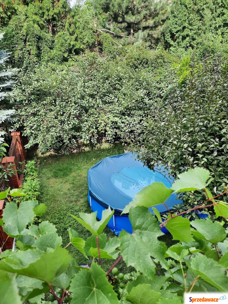 8p, 290m, okolice Zabrodzkiej Taras...