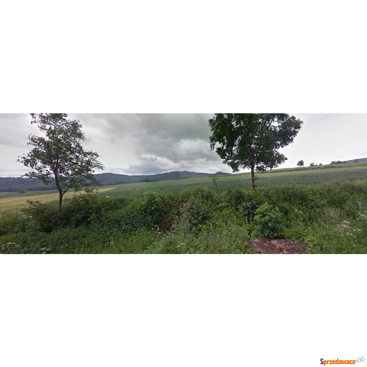Działka Rolna (62000 m2) Biegoszów