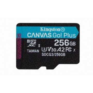 microSDXC Canvas Go Plus 256GB