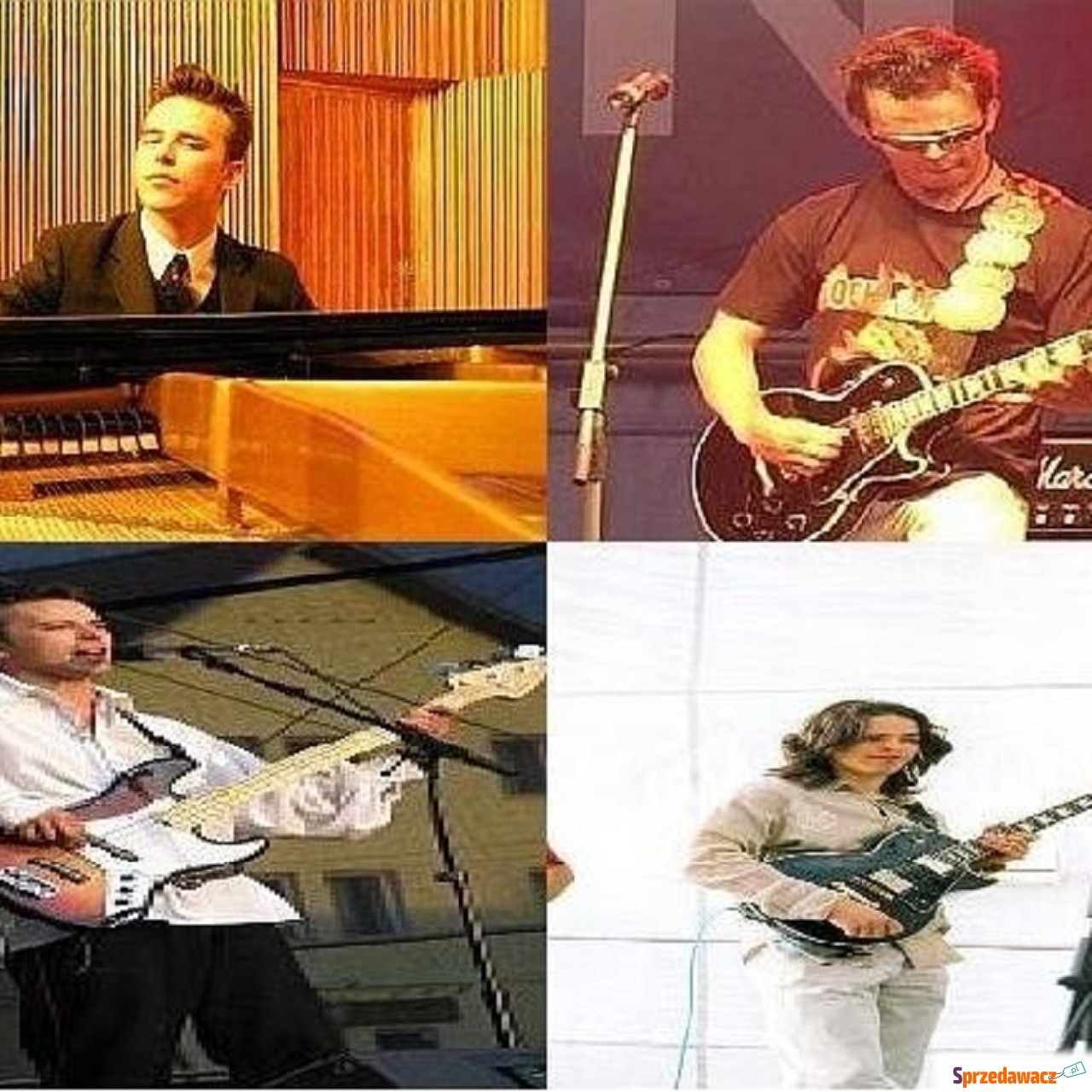 usluga branzy showbusiness org...