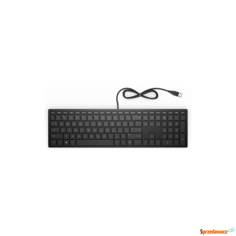 HP PAV Wired Keyboard 300 4CE96AA - Klawiatury - Kraśnik