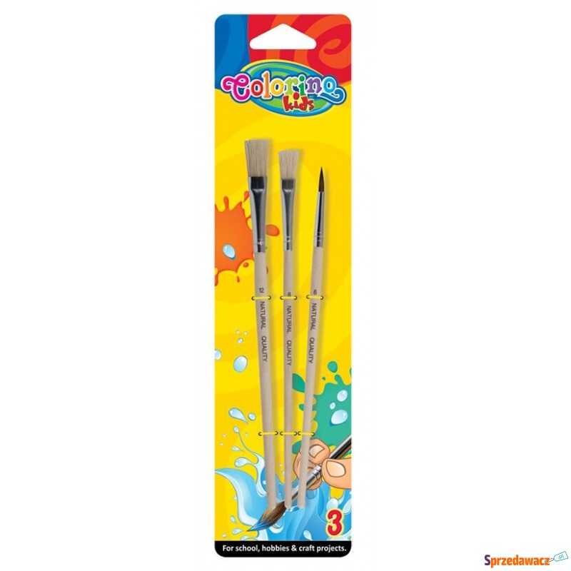 Pędzelki szkolne 3 sztuk blister...