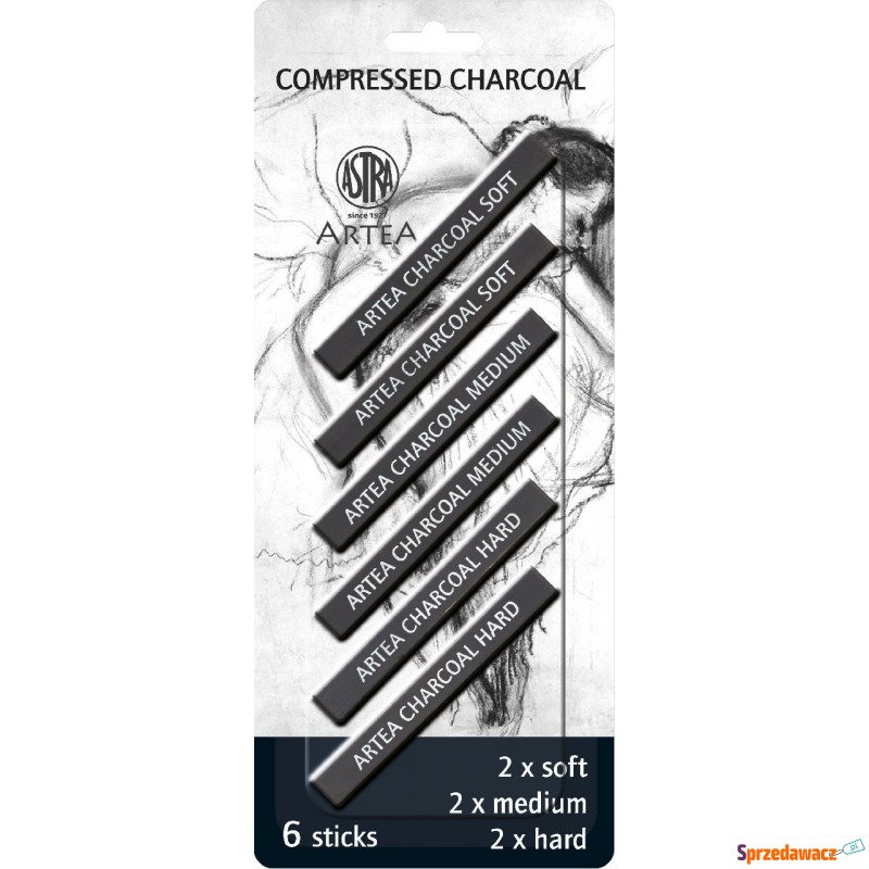 Węgiel prasowany compressed charcoal A'6 zestaw... - Węgiel, sangwina, sepia - Gliwice