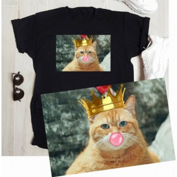 koszulka z kotem w koronie