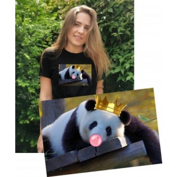 koszulka damska z pandą