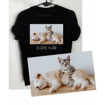 koszulka dla kociary, koszulka dla miłośniczki kotów