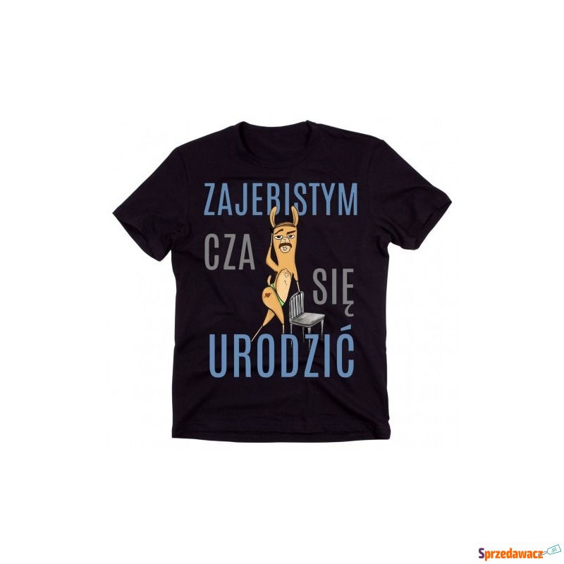 śmieszna męska koszulka na prezent - Koszulki męskie - Poznań