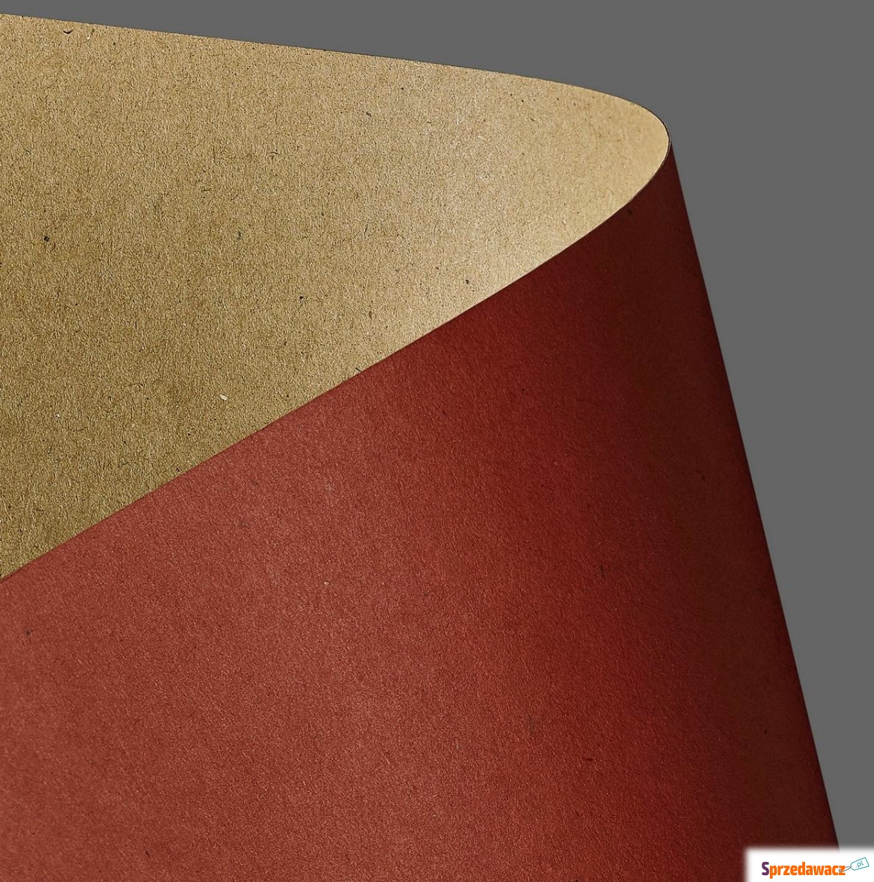 Papier wizytówkowy A4 275 A20...