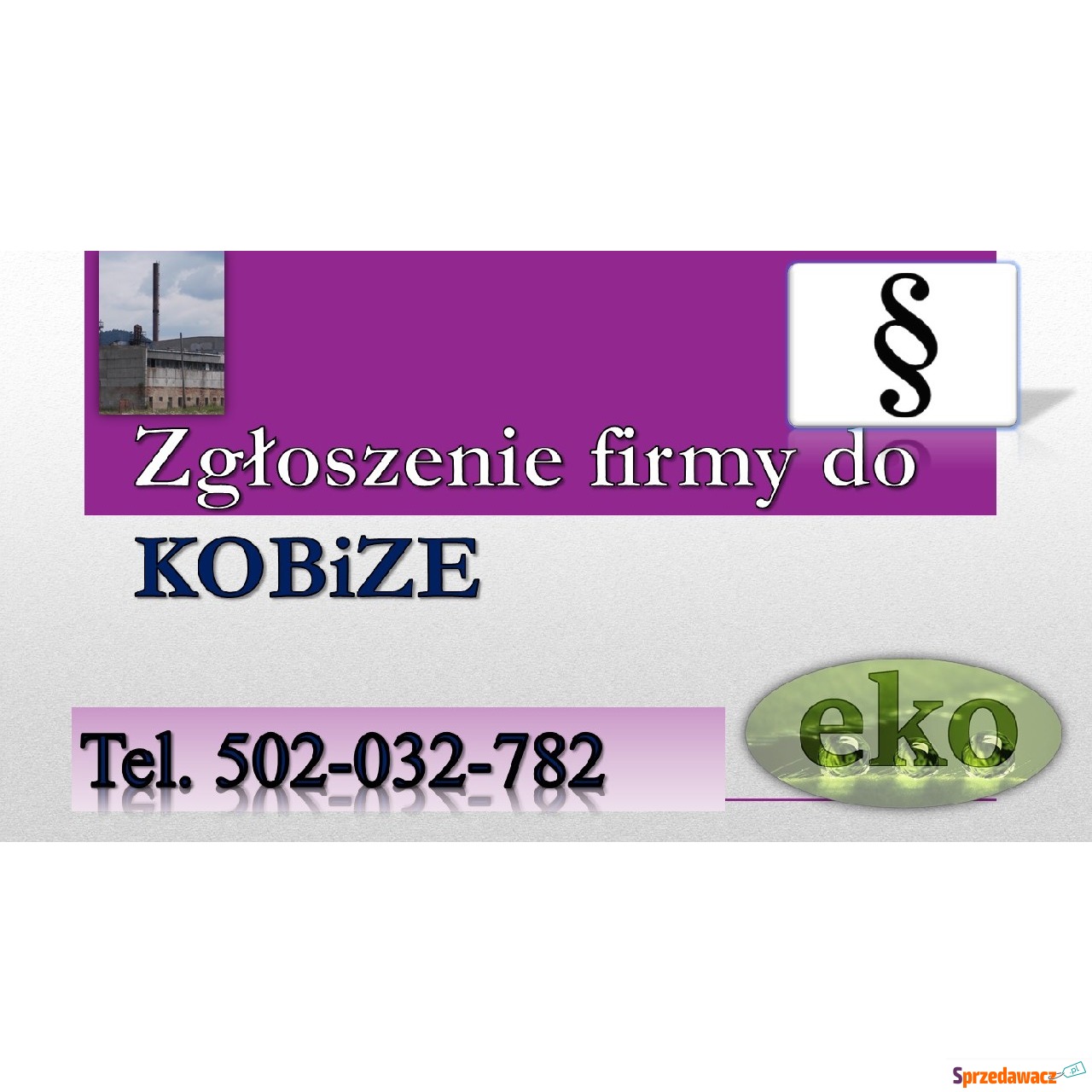Raport do Kobize, szkolenie, cena,...