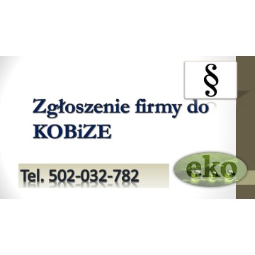 Raport do Kobize, szkolenie, cena, Wrocław, w... - Pozostałe usługi - Wrocław - zdjęcie 5