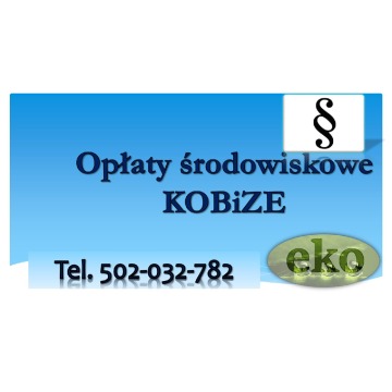 Raport do Kobize, szkolenie, cena, Wrocław, w... - Pozostałe usługi - Wrocław - zdjęcie 4