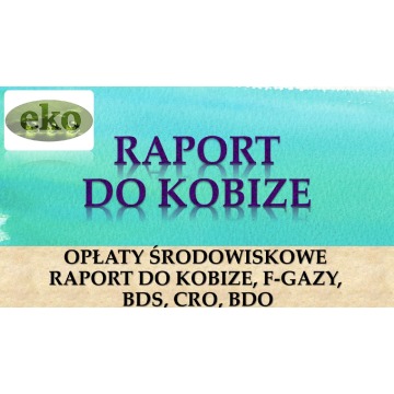 Raport do Kobize, szkolenie, cena, Wrocław, w... - Pozostałe usługi - Wrocław - zdjęcie 2