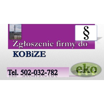Raport do Kobize, szkolenie, cena, Wrocław, wykaz, raportowanie, terminy, wykonanie raportu, obsługa