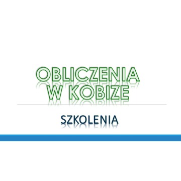 Raport do Kobize, szkolenie, cena, Wrocław, w... - Pozostałe usługi - Wrocław - zdjęcie 7