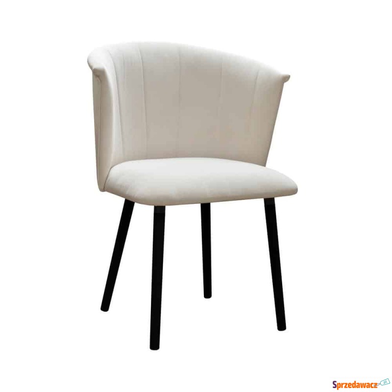 Krzesło Lisander - Różne Kolory 63x55x83cm - Krzesła kuchenne - Chełm