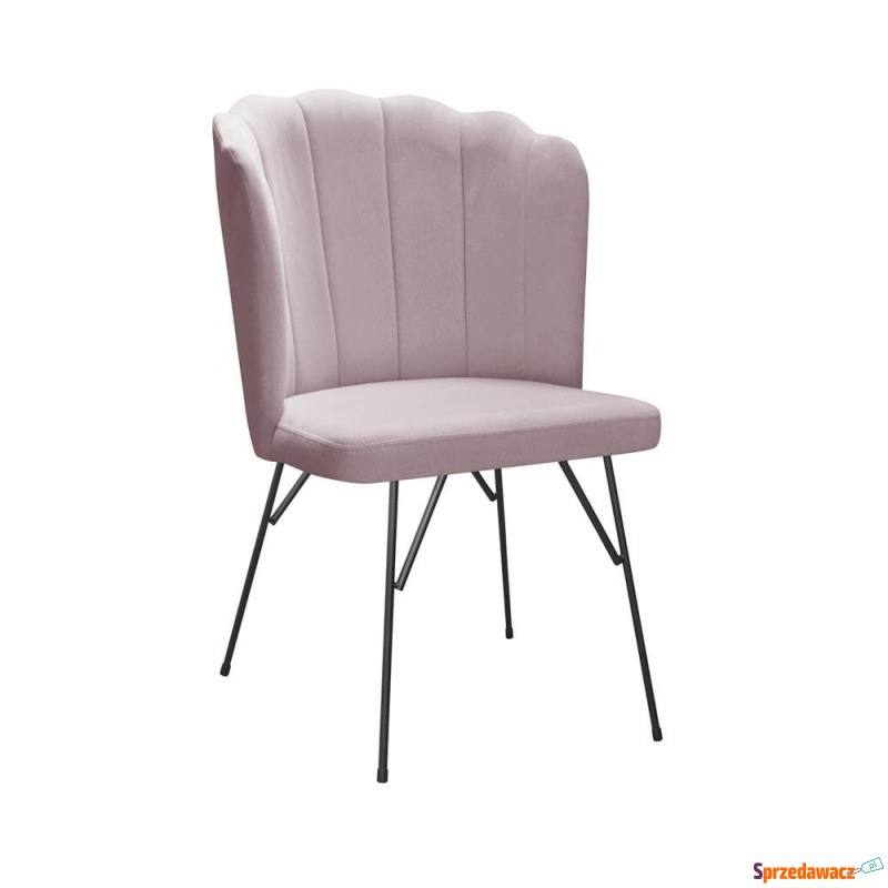 Krzesło Klio Spider - Różne Kolory 56x60x91cm - Krzesła kuchenne - Kołobrzeg