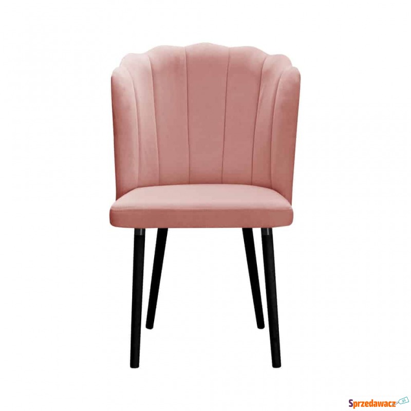 Krzesło Klio - Różne Kolory 56x60x91cm - Krzesła kuchenne - Dąbrowa Górnicza