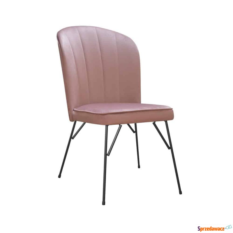 Krzesło Mateus Spider - Różne Kolory 50x65x89cm - Krzesła kuchenne - Dąbrowa Górnicza