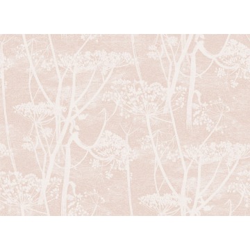 Tapeta Cole and Son Cow Parsley White/Pink
