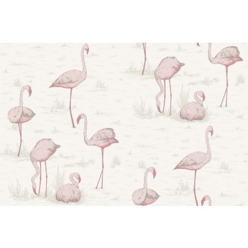 Tapeta Cole and Son Flamingos Pink/White