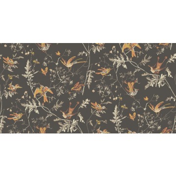 Tapeta Cole and Son Hummingbirds Charcoal/Ginger