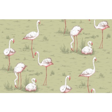 Tapeta Cole and Son Flamingos White/Olive