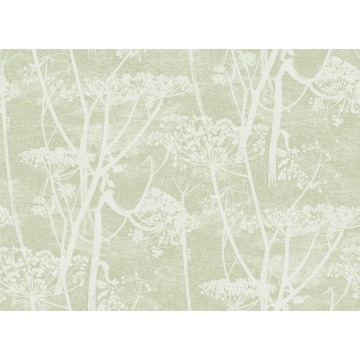 Tapeta Cole and Son Cow Parsley White/Olive