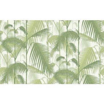 Tapeta Cole and Son Palm Jungle Green/White