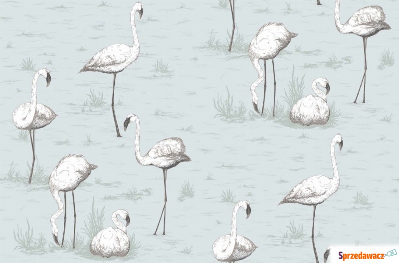 Tapeta Cole and Son Flamingos White/Soft Blue - Tapety, naklejki ści... - Stargard Szczeciński