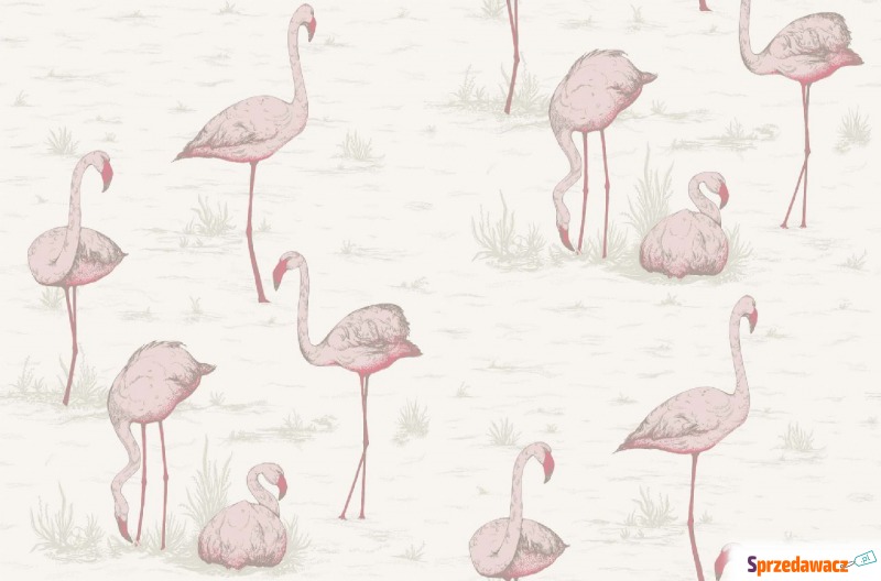 Tapeta Cole and Son Flamingos Pink/White - Tapety, naklejki ści... - Lublin