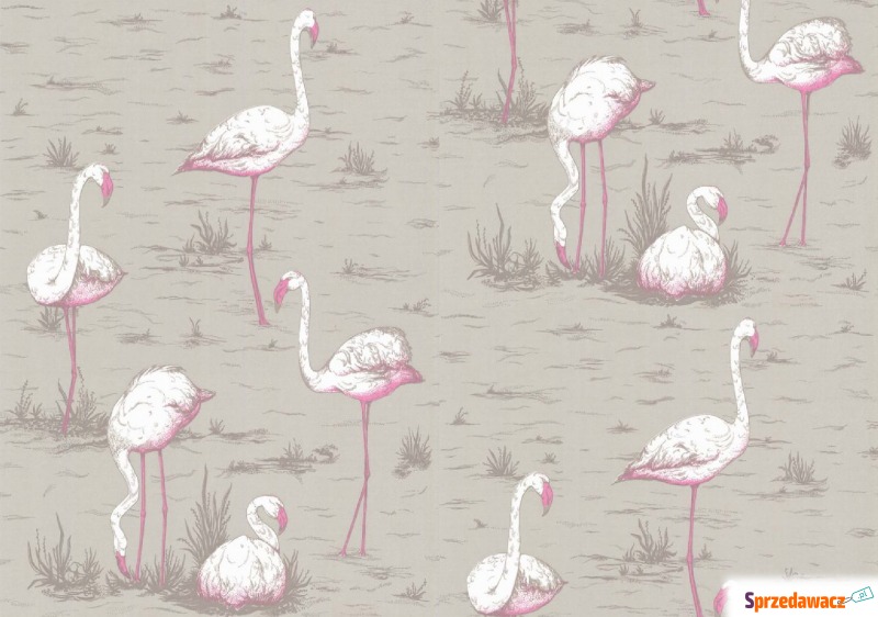 Tapeta Cole and Son Flamingos White/Grey - Tapety, naklejki ści... - Konin