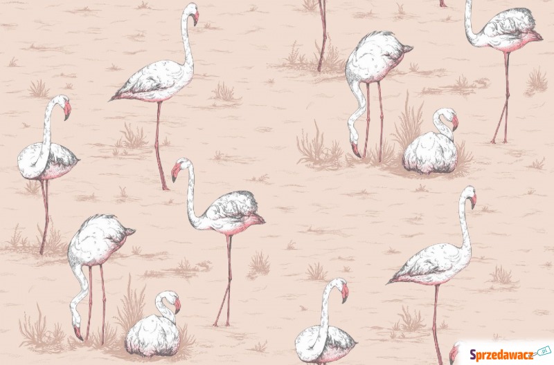 Tapeta Cole and Son Flamingos White/Pink - Tapety, naklejki ści... - Konin