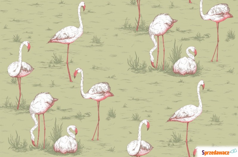 Tapeta Cole and Son Flamingos White/Olive - Tapety, naklejki ści... - Chorzów