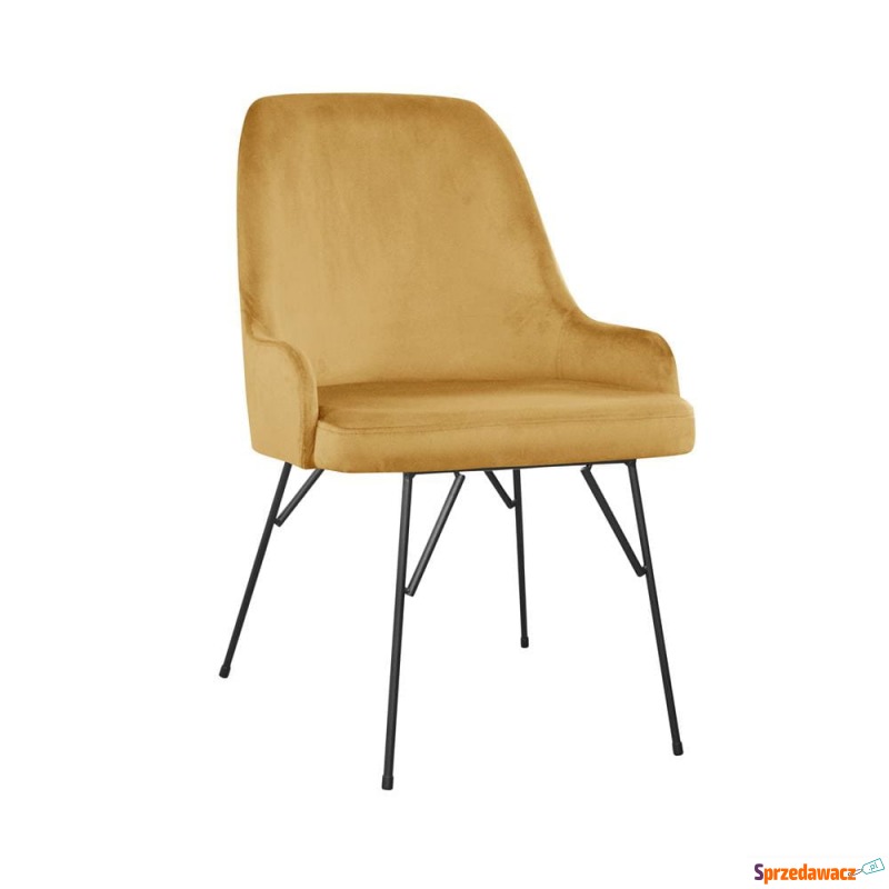 Krzesło Andrea Spider - Różne Kolory 56x56x86cm - Krzesła kuchenne - Grodzisk Wielkopolski