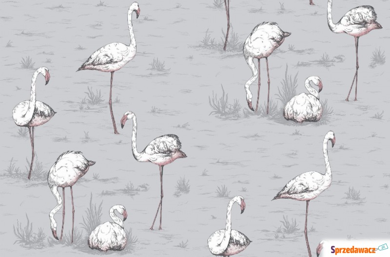 Tapeta Cole and Son Flamingos White/Lilac Grey - Tapety, naklejki ści... - Koszalin