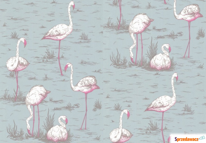 Tapeta Cole and Son Flamingos White/Blue - Tapety, naklejki ści... - Ełk
