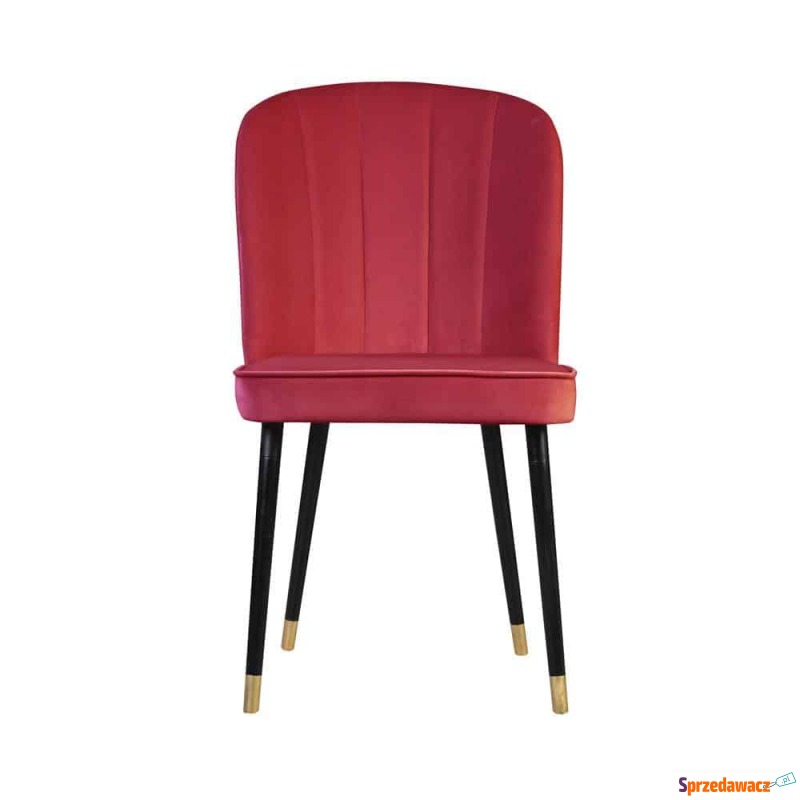 Krzesło Mateus - Różne Kolory 50x65x89cm - Krzesła kuchenne - Inowrocław