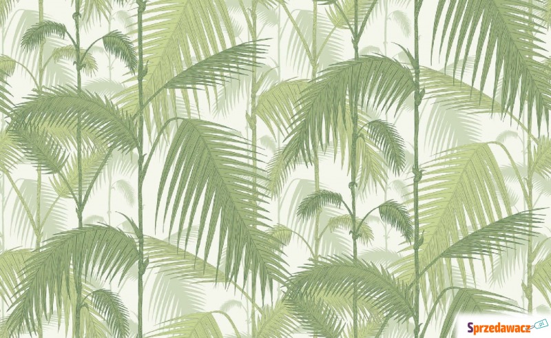 Tapeta Cole and Son Palm Jungle Green/White - Tapety, naklejki ści... - Tarnowskie Góry