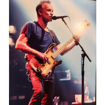 Sprzedam Oryginalną Nową płytę CD Sting - Płyty, kasety - Katowice - zdjęcie 2
