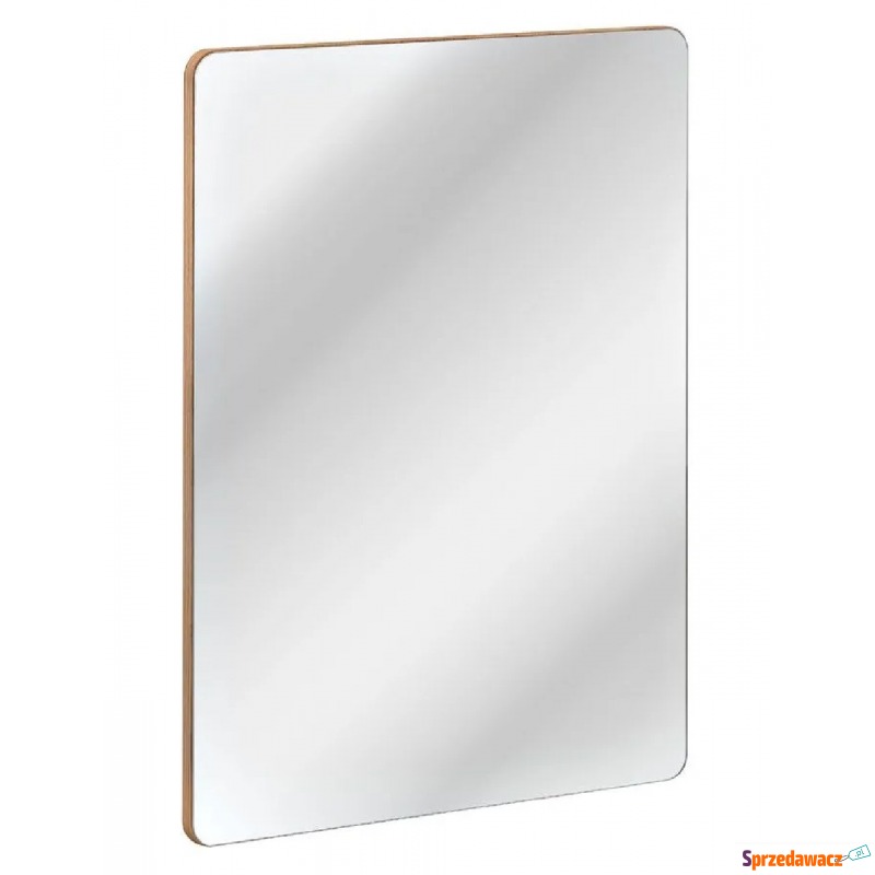 Prostokątne wiszące lustro łazienkowe Borneo 3S - Lustra łazienkowe - Nowy Sącz