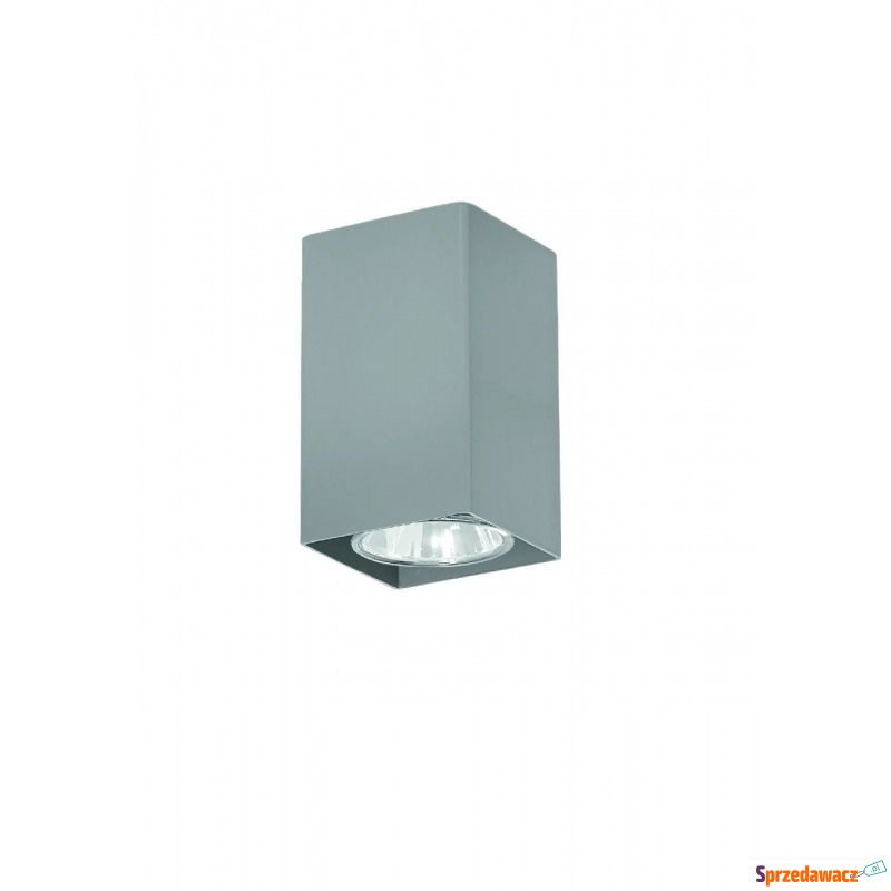 Minimalistyczna lampa sufitowa E356-Neri - popiel - Pozostałe oświetlenie - Tarnów