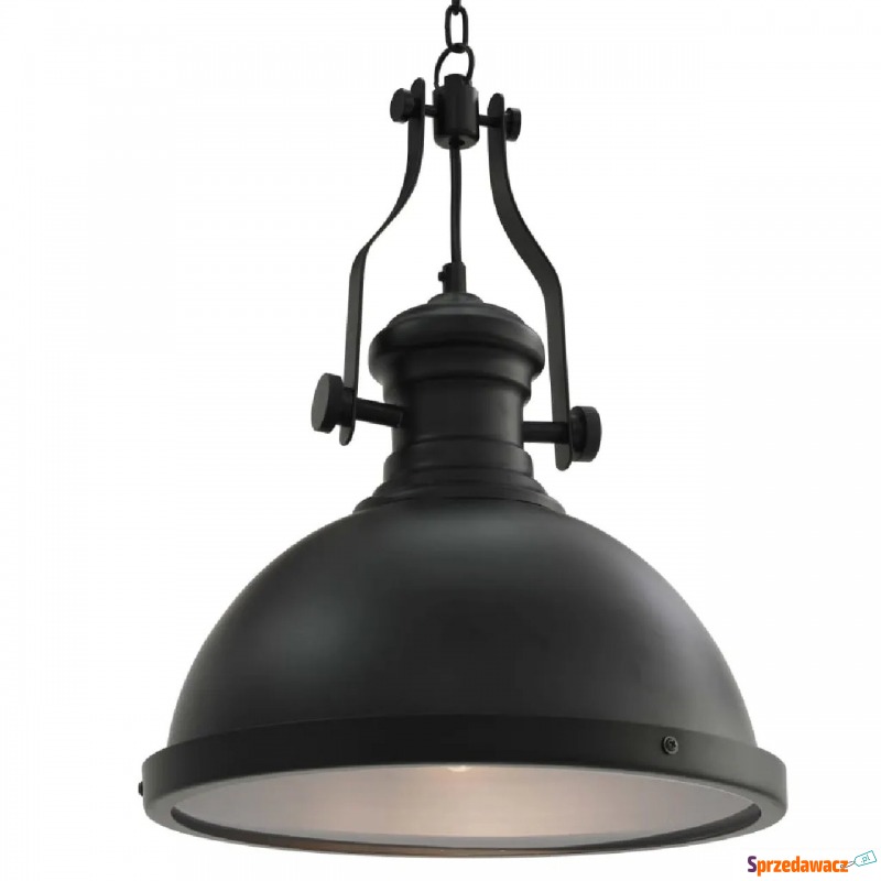 Czarna industrialna lampa sufitowa - EX173-Rozi - Lampy wiszące, żyrandole - Kraczkowa