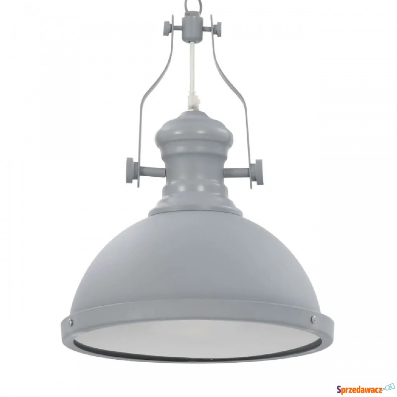 Szara loftowa lampa sufitowa - EX173-Rozi - Lampy wiszące, żyrandole - Suwałki