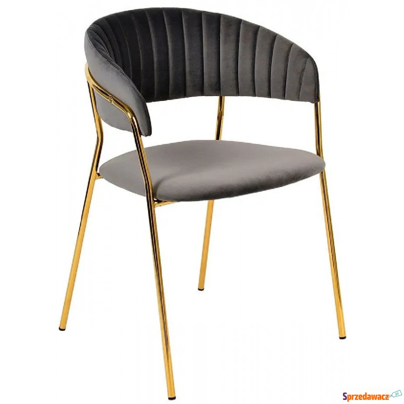 Ciemnoszare krzesło tapicerowane - Piano 2X - Pozostałe meble wypo... - Świnoujście