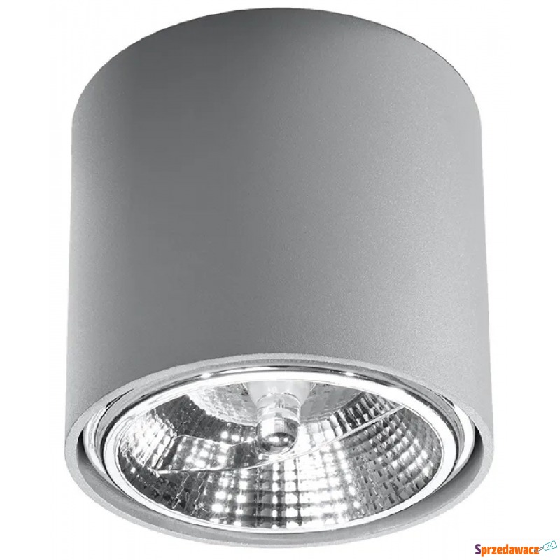 Szary minimalistyczny plafon LED walec - EX655-Tiubo - Plafony - Leszno