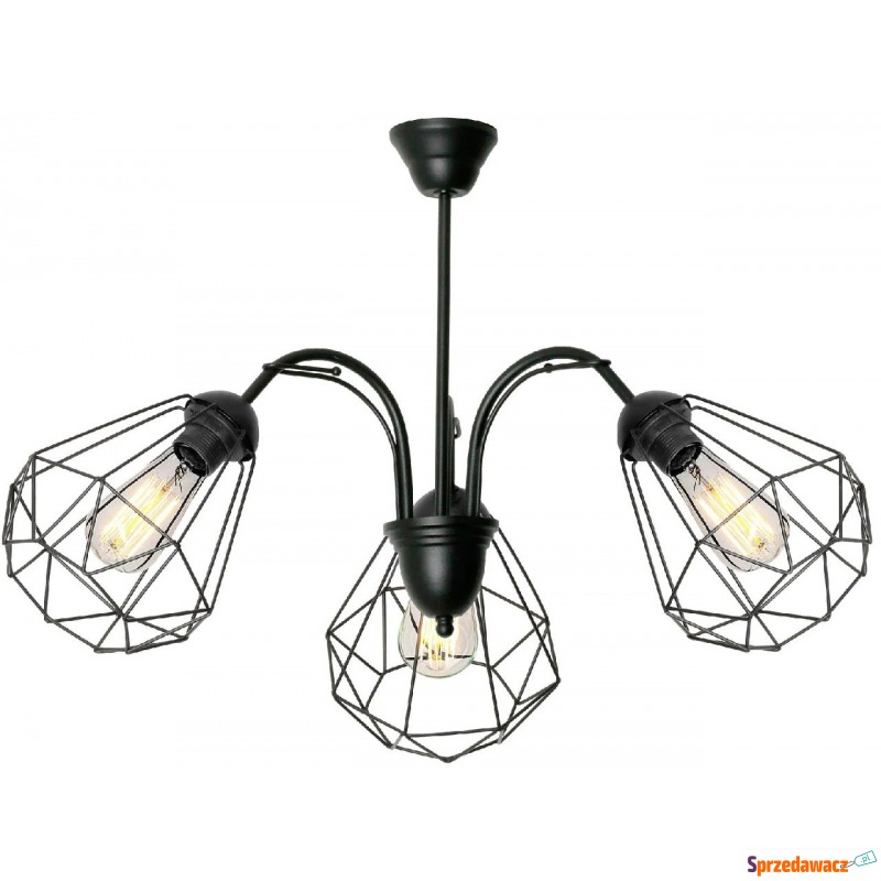 Czarna lampa sufitowa druciana loft - EX778-Loftis - Lampy wiszące, żyrandole - Nowy Sącz