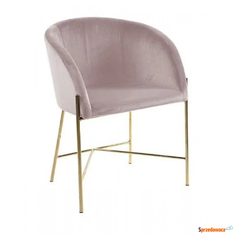 Różowe krzesło welurowe - Amazon 4X - Krzesła do salonu i jadalni - Biała Podlaska