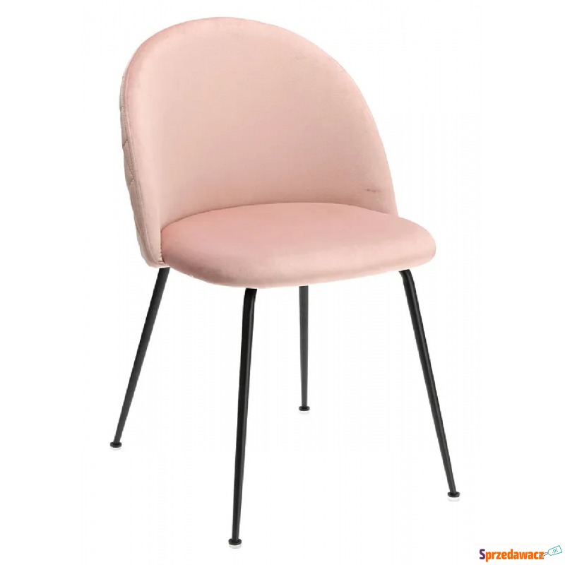 Welurowe krzesło różowe - Evenne - Krzesła do salonu i jadalni - Zgierz