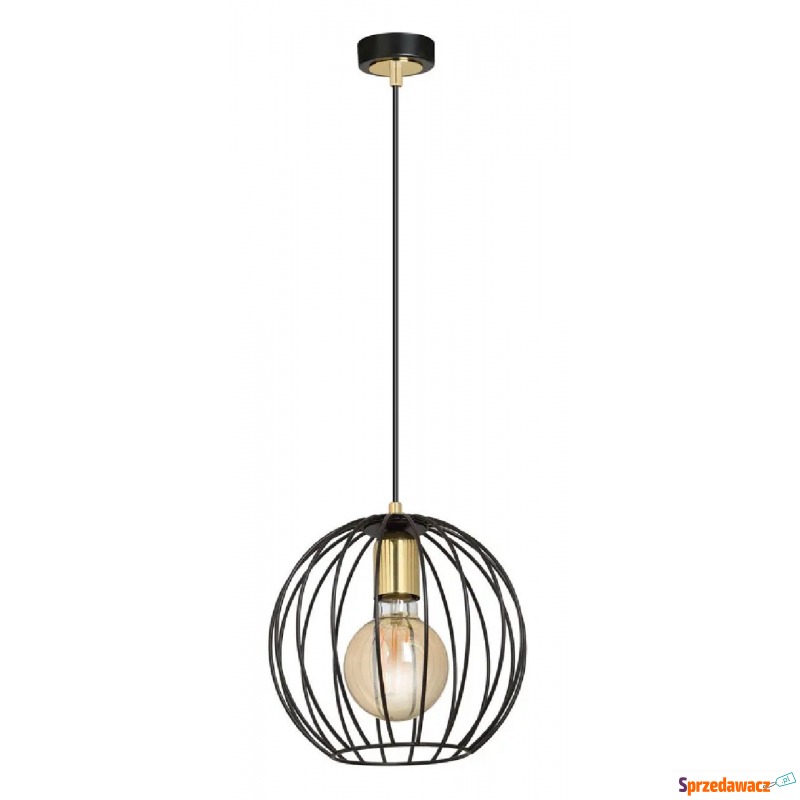 Czarna nowoczesna loftowa lampa wisząca - D029-Lisen - Lampy wiszące, żyrandole - Zamość