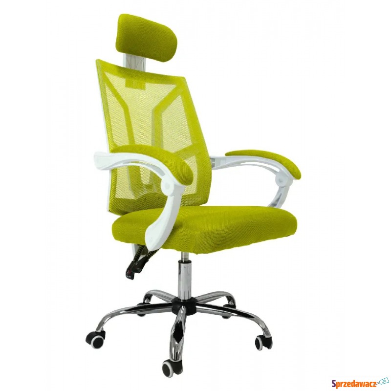 Biało-zielony fotel obrotowy do biura - Roiso - Krzesła biurowe - Grudziądz